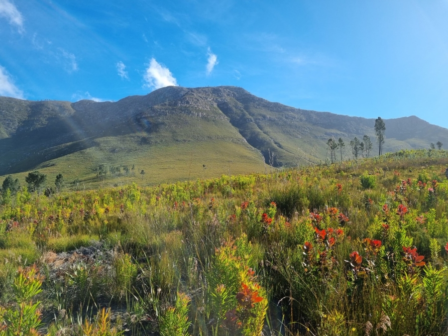 0 Bedroom Property for Sale in Joubertina Eastern Cape